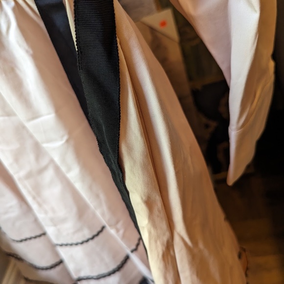 Blush and Black Dress - Picture 5 of 6